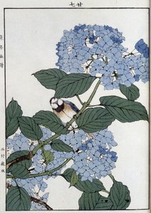 Pájaro en hortensias - Impresión japonesa de Japanese School