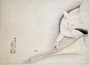 Gato, dibujo japonés, s.f. siglo XIX de Japanese School