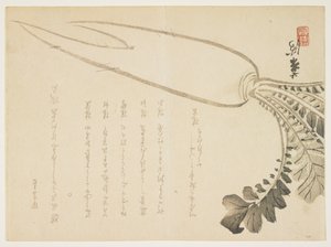 Rábano Daikon de Japanese School