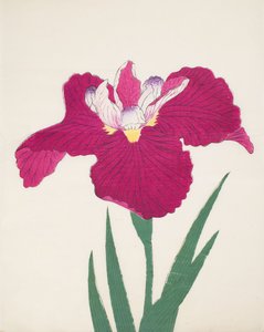 Date-Dogu, No 2, 1890 de Japanese School