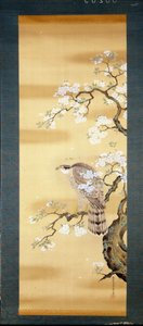 Halcón en una rama de cerezo japonés florecido. Pintura en seda del siglo XVIII de Japón. Génova. Museo Chiossone. de Japanese School