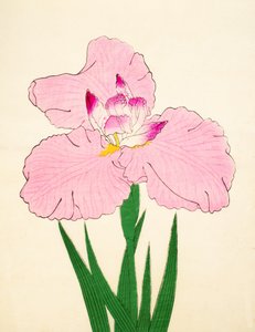 Gaisen, No. 90, 1890 de Japanese School