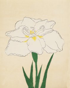 Haku-O-Den, No. 40, 1890 de Japanese School