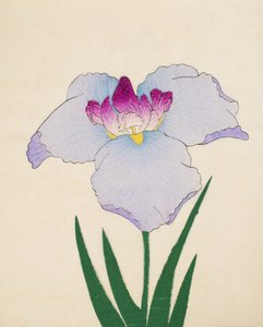 Hoshi-Zukiyo, no.45, 1898 de Japanese School