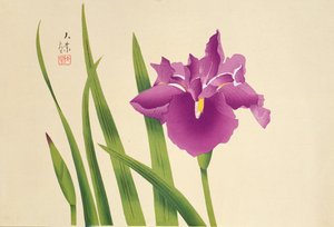 Irises, pub. c.1950 de Japanese School