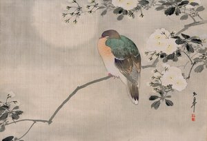 Pintura Japonesa de Seda de una Paloma Torcaz