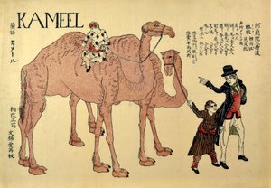 Kameel, pub. 1821 (xilografía coloreada) de Japanese School