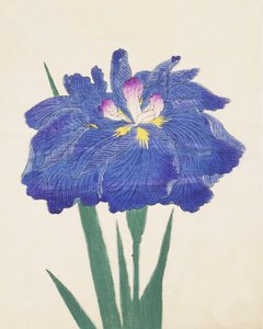 Karako-Asobi, no.42, 1898 de Japanese School