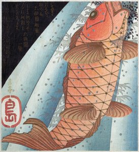Carpa koi; pub. c. 1820