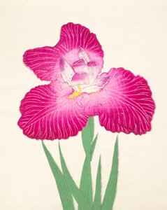 Kyo-Kano.ko, no.24, 1898 de Japanese School