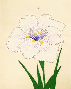 Manu-Zuru, No. 28, 1890 de Japanese School