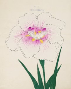 Misuji-no.-Ito, no.17, 1898 de Japanese School