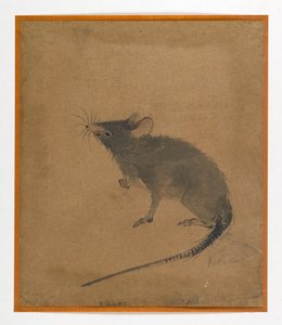 Ratón de Japanese School