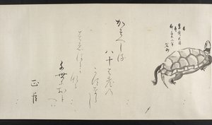 O. 14872, f.29, Una tortuga, de Yoshida Seisai (pergamino) de Japanese School