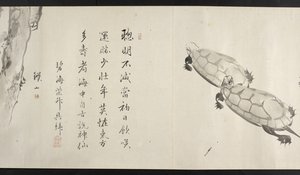 O. 14872, f.36, Dos tortugas, de Yoshida Seisai (pergamino) de Japanese School