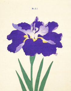 Saiwoga-Uma, No. 53, 1890 de Japanese School