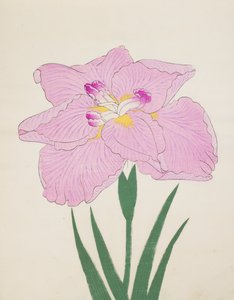 Shu-Fu-Raku, No. 58, 1890 de Japanese School