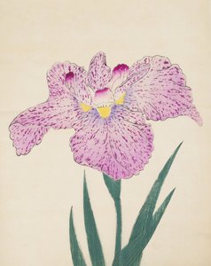 Tanka-No-Koe, No. 15, 1890 de Japanese School