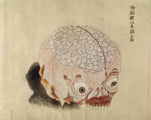 La anatomía del cerebro de la disección de una víctima de tortura de 1796, de un makimono de un doctor Midori, 1842
