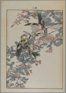 Dos pájaros con flores rosadas, período Meiji, c.1868-1912 de Japanese School