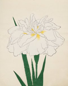 Ujaku-No-Nagisa, No. 61, 1890 de Japanese School