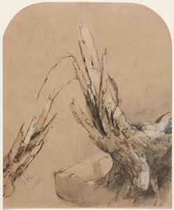 Un árbol arruinado, 1851 de Jasper Francis Cropsey