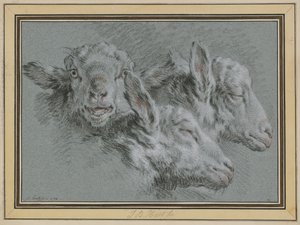 Tres cabezas de oveja, despiertas y dormidas