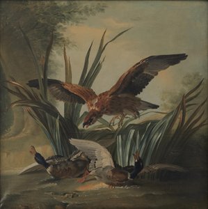 Un halcón atacando a un par de patos de Jean-Baptiste Oudry