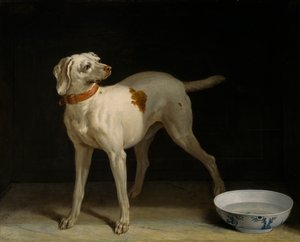 Perro de Jean Baptiste Oudry