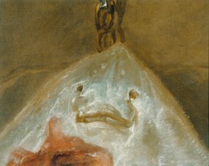 El patín - La raie ... de Jean Baptiste Simeon Chardin