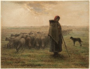 Pastora y su rebaño