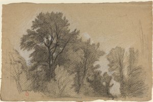 Borde de un bosque de Jean Achille Benouville