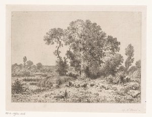 Grupo de árboles en un pantano de Jean Alexis Achard