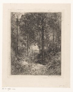 vista al bosque de Jean Alexis Achard