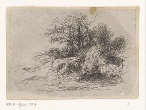 matorrales de Jean Alexis Achard