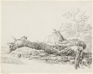 Un Árbol Antiguo Caído Junto a un Arroyo de Jean Antoine Constantin