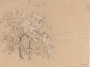 Árboles Iluminados por el Sol Frente a un Paisaje Panorámico de Jean Antoine Linck