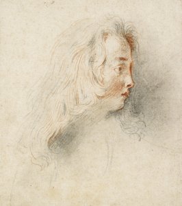 Cabeza de un niño en perfil de Jean Antoine Watteau