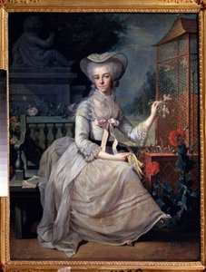 ""Señora joven en una jaula"" (Señora joven en una jaula) Pintura de Jean-Baptiste (Jean Baptiste) Charpentier (1728-1806) 1784 Museo Pushkin, Moscú de Jean Baptiste Charpentier