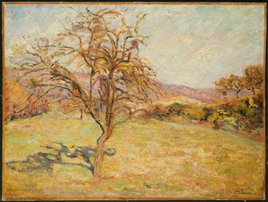 Paisaje, 1890 de Jean Baptiste Armand Guillaumin