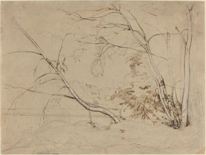 Grupo de Árboles en Civita Castellana de Jean Baptiste Camille Corot
