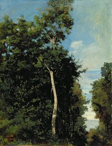 El bosque en la Cote de Grace en Honfleur
