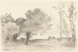 Sauces y Álamos Blancos de Jean Baptiste Camille Corot