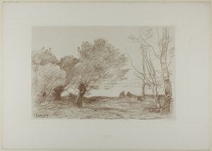 Sauces y álamos blancos de Jean Baptiste Camille Corot
