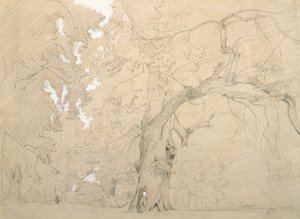 Joven frente a un gran roble, c.1840