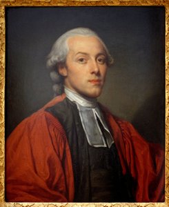 Retrato de Charles Paul Jean Baptiste de Bourgevin de Vialart de Saint Morys (1772-1817), consejero de la Gran Cámara del Parlamento de París de Jean Baptiste Greuze