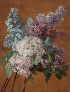 Un estudio sobre las lilas de Jean Baptiste Huet