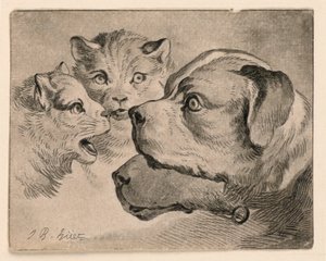Cabezas de gatos y perros