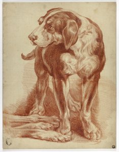 Sabueso de pie de Jean Baptiste Huet