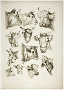 Placa 35 de 38 de Oeuvres de J. B. Huet de Jean Baptiste Huet